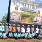 Program Ketahanan Pangan, Polda Banten Gelar Penanaman Jagung di Desa Ranca Sumur