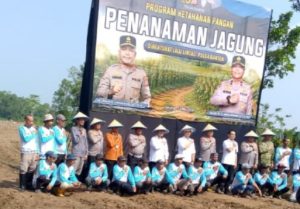 Program Ketahanan Pangan, Polda Banten Gelar Penanaman Jagung di Desa Ranca Sumur